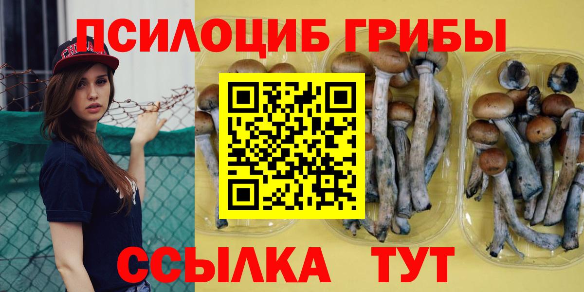 Альметьевск  Псилоцибиновые грибы Psilocybine cubensis  Вход с VPN 