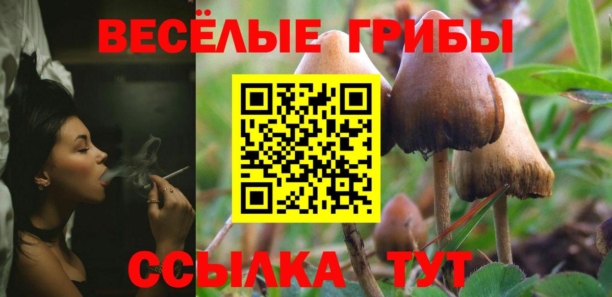 Псилоцибиновые грибы ЛСД Альметьевск